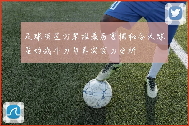 足球明星打架谁最厉害揭秘各大球星的战斗力与真实实力分析