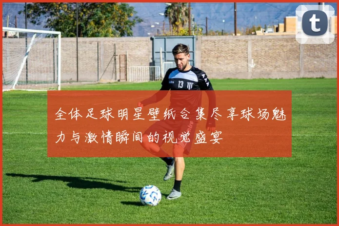 全体足球明星壁纸合集尽享球场魅力与激情瞬间的视觉盛宴