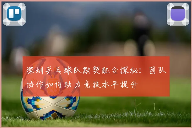 深圳乒乓球队默契配合探秘：团队协作如何助力竞技水平提升