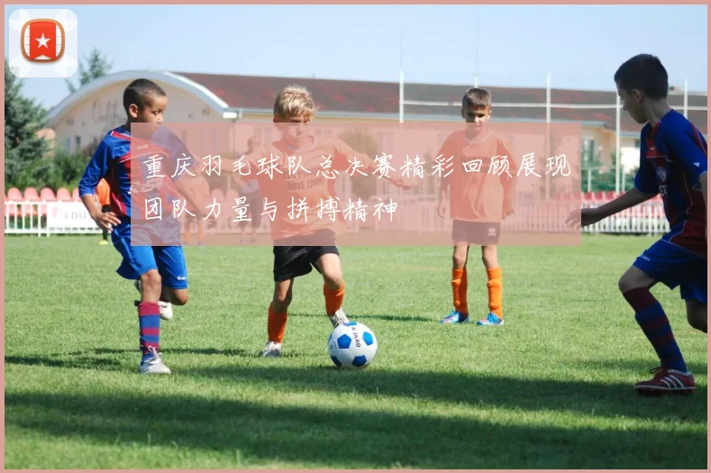 重庆羽毛球队总决赛精彩回顾展现团队力量与拼搏精神
