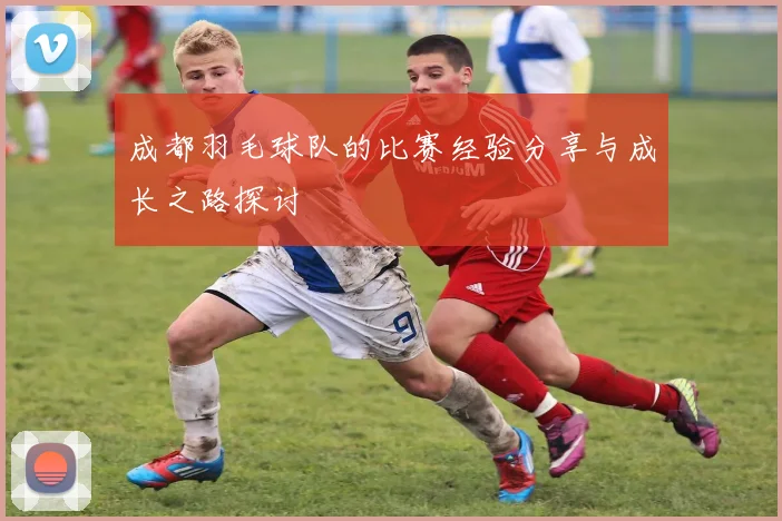 成都羽毛球队的比赛经验分享与成长之路探讨