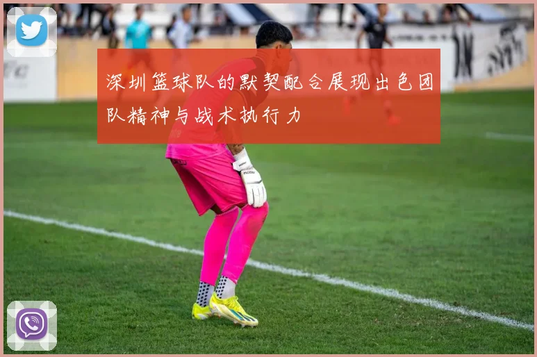 深圳篮球队的默契配合展现出色团队精神与战术执行力