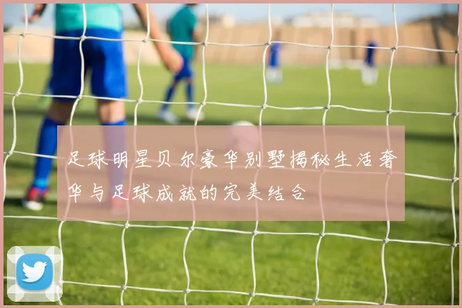 足球明星贝尔豪华别墅揭秘生活奢华与足球成就的完美结合