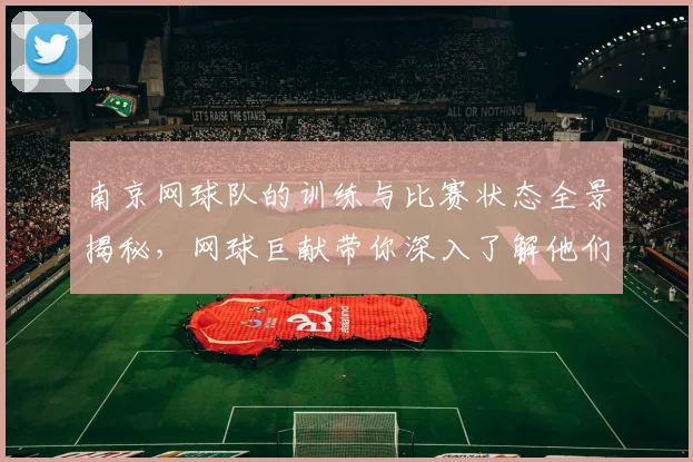 南京网球队的训练与比赛状态全景揭秘，网球巨献带你深入了解他们的拼搏精神