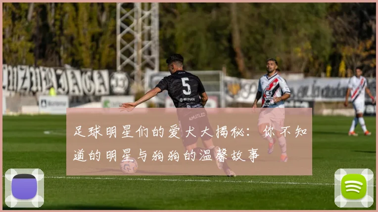 足球明星们的爱犬大揭秘：你不知道的明星与狗狗的温馨故事