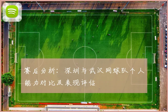 赛后分析：深圳与武汉网球队个人能力对比及表现评估