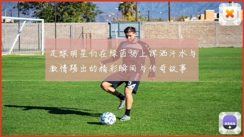 足球明星们在绿茵场上挥洒汗水与激情踢出的精彩瞬间与传奇故事